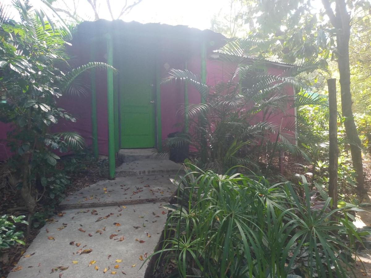 Chez Nous Διαμέρισμα Puerto Carrillo Εξωτερικό φωτογραφία